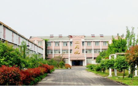 二月風野生葛根粉，當代年輕人的反焦慮新寵