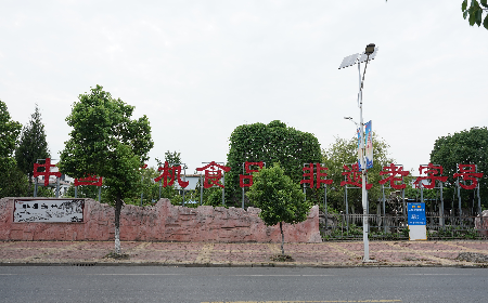 當(dāng)定制葛粉時，我們真正在選擇什么？