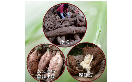 買(mǎi)葛粉是買(mǎi)野生的好？還是野生有機(jī)的好？