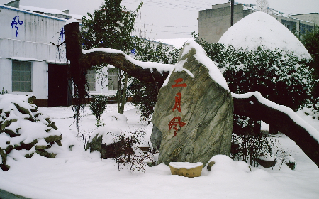 二月風(fēng)致老友：一碗葛根粉的牽掛，農(nóng)博會上的重逢之約二月風(fēng)盼老友：農(nóng)博會上，再續(xù)葛粉情緣